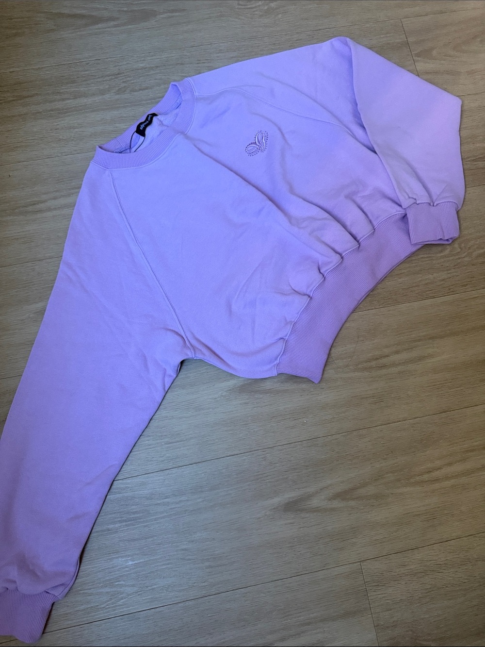 Expired Girl Y2K Lilac Crewneck Cropped Sweatshirt